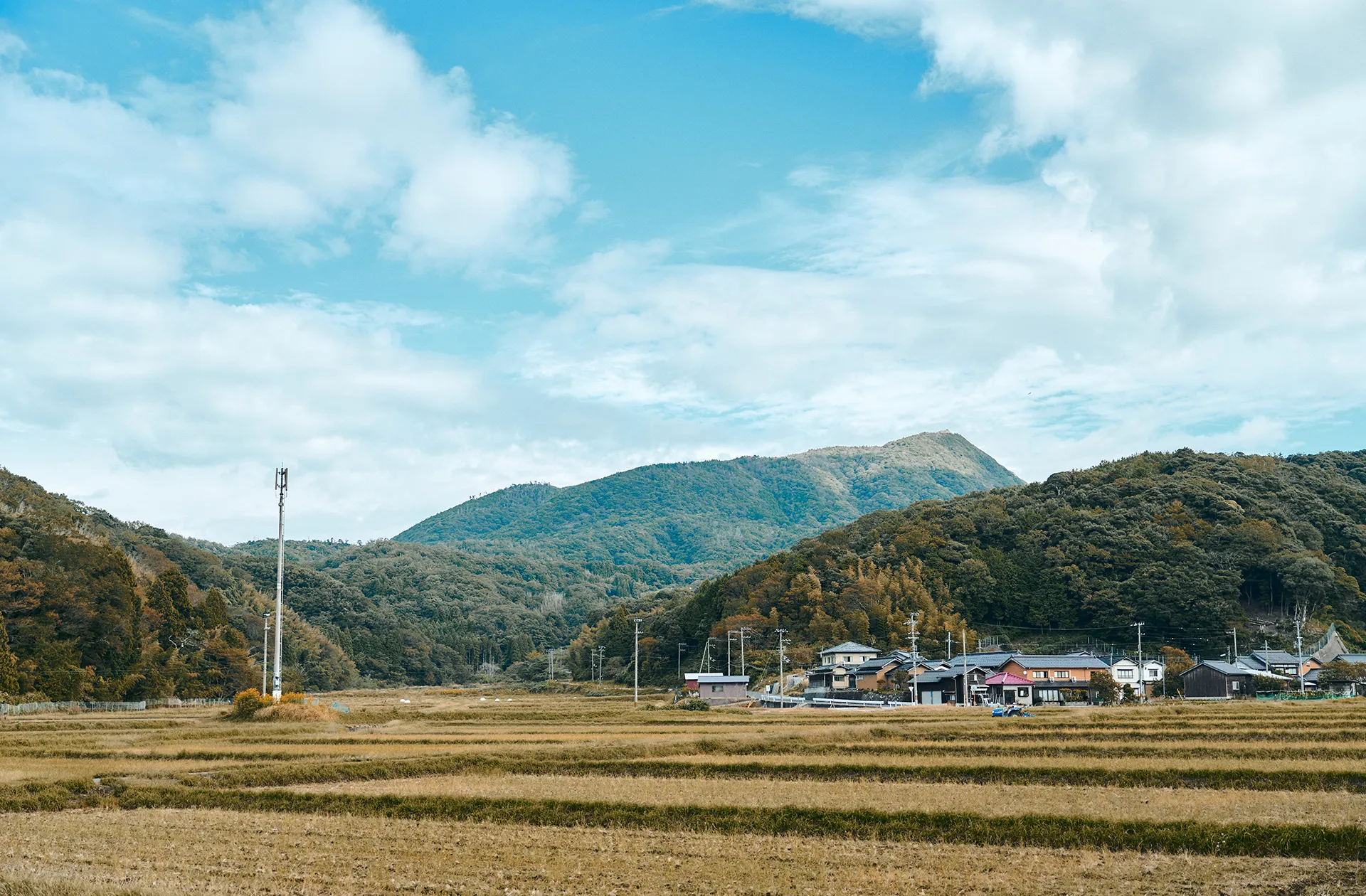 日日新