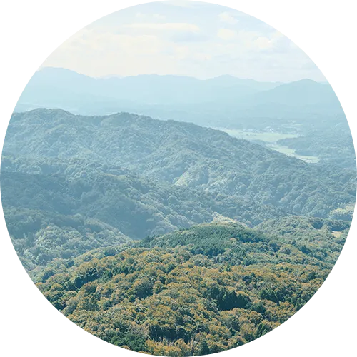 登山口